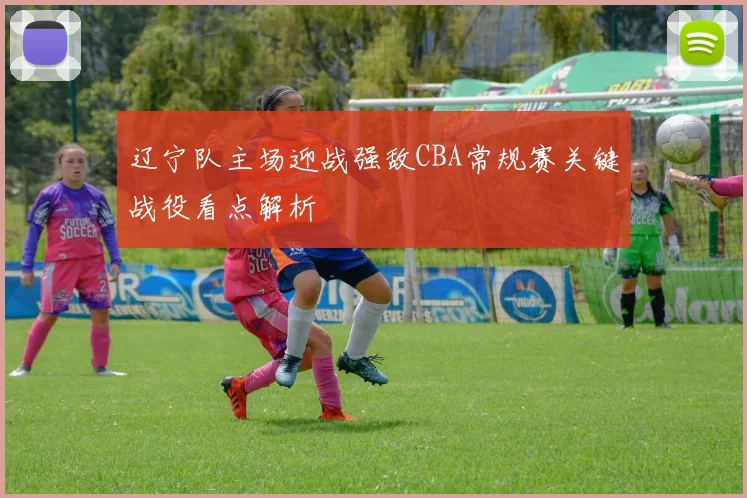 辽宁队主场迎战强敌CBA常规赛关键战役看点解析