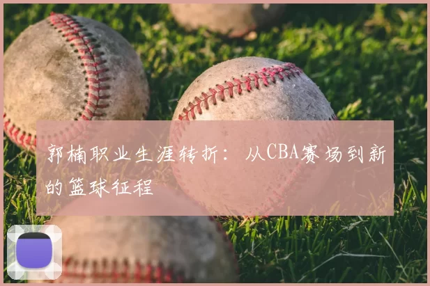 郭楠职业生涯转折:从CBA赛场到新的篮球征程