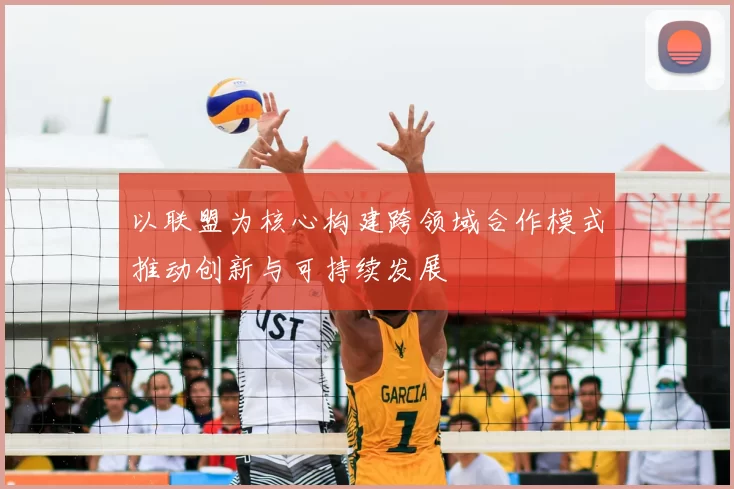 以联盟为核心构建跨领域合作模式推动创新与可持续发展
