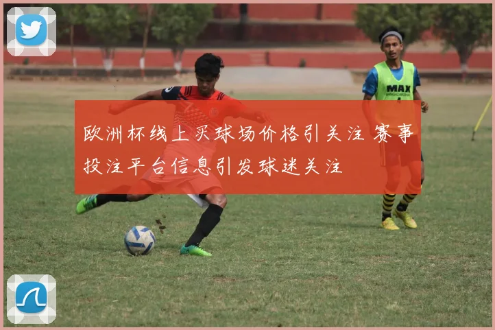 欧洲杯线上买球场价格引关注 赛事投注平台信息引发球迷关注