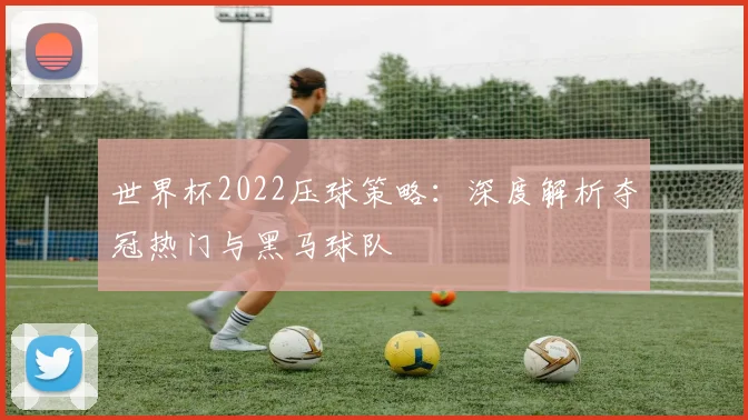 世界杯2022压球策略：深度解析夺冠热门与黑马球队