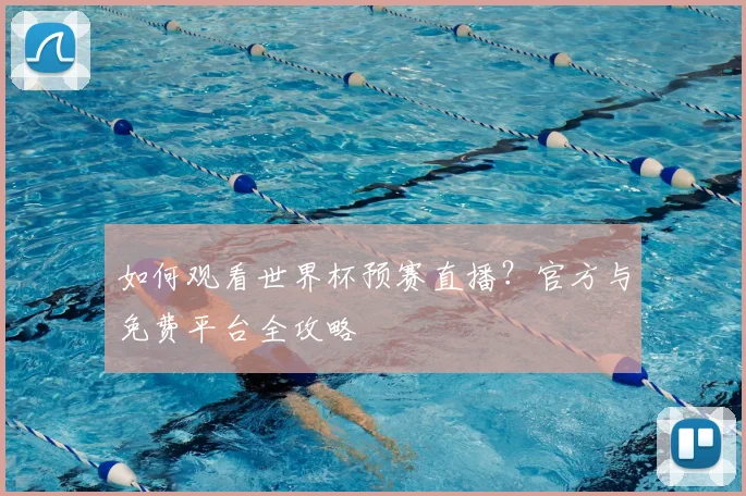 如何观看世界杯预赛直播？官方与免费平台全攻略