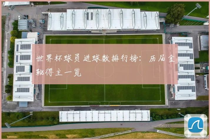 世界杯球员进球数排行榜:历届金靴得主一览