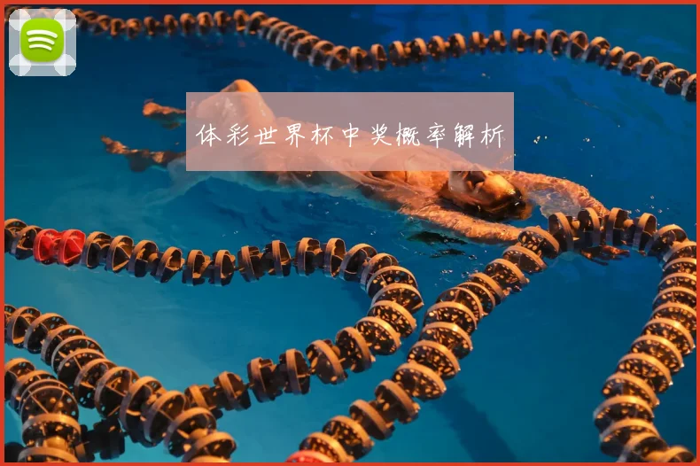 体彩世界杯中奖概率解析