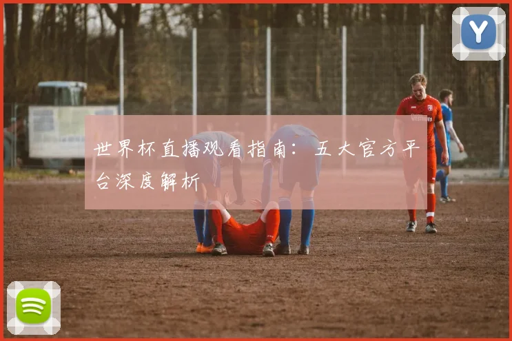 世界杯直播观看指南:五大官方平台深度解析