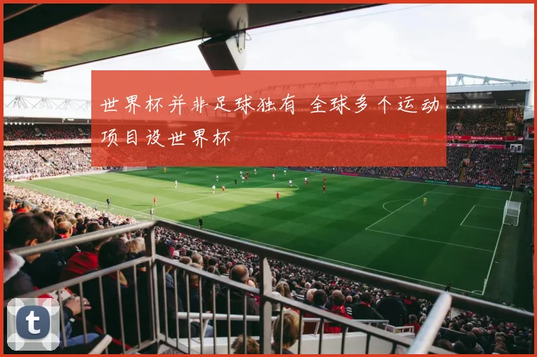 世界杯并非足球独有 全球多个运动项目设世界杯