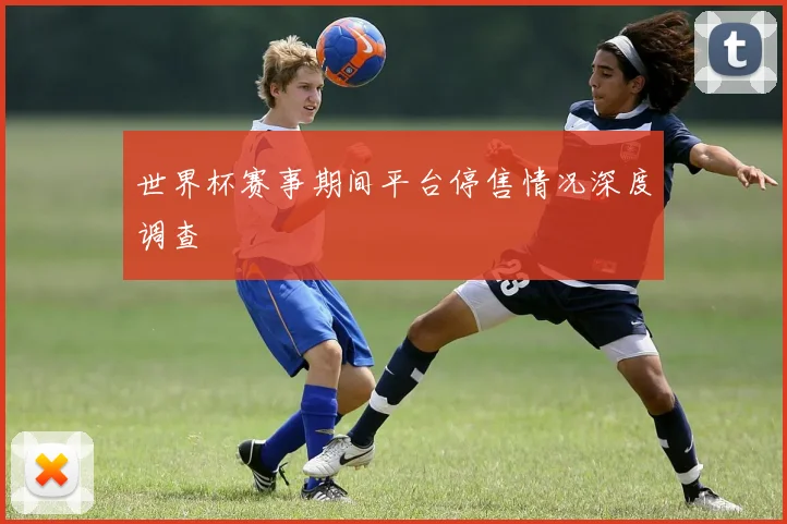 世界杯赛事期间平台停售情况深度调查
