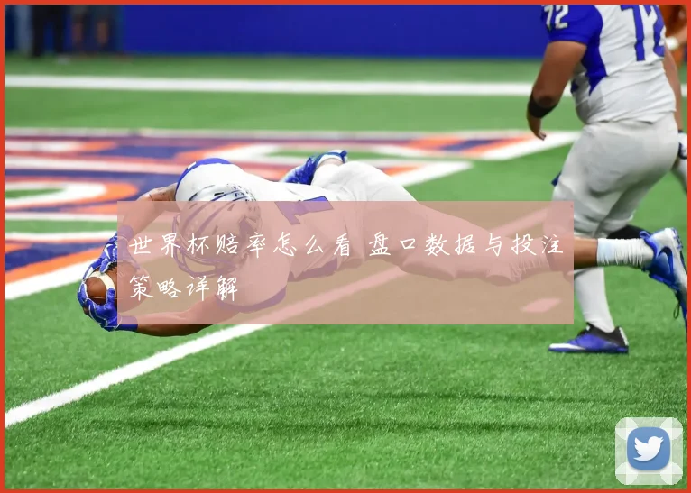 世界杯赔率怎么看 盘口数据与投注策略详解