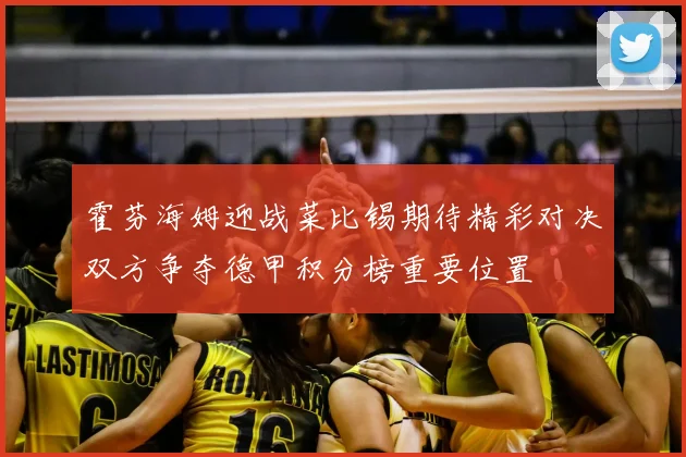 霍芬海姆迎战菜比锡期待精彩对决双方争夺德甲积分榜重要位置