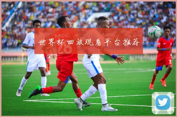 世界杯回放观看平台推荐