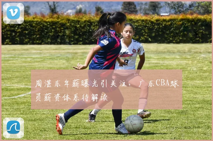 周湛东年薪曝光引关注，广东CBA球员薪资体系待解读