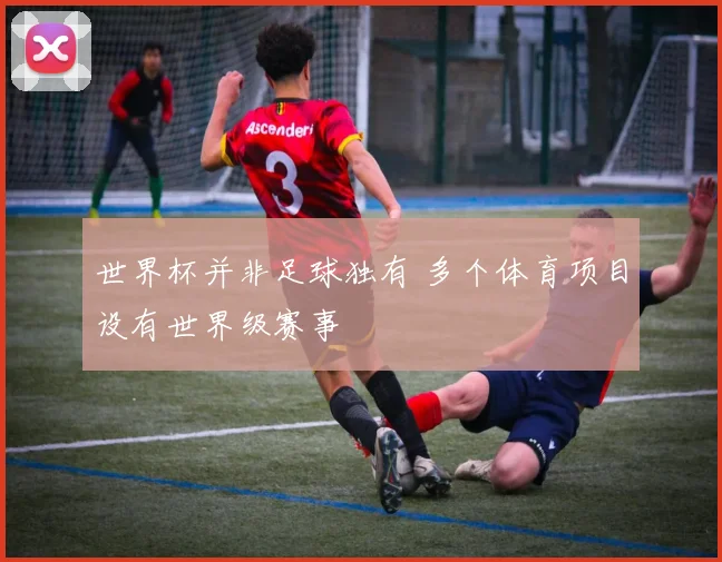 世界杯并非足球独有 多个体育项目设有世界级赛事