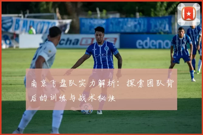 南京飞盘队实力解析：探索团队背后的训练与战术秘诀